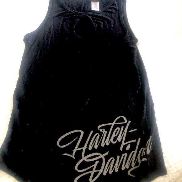 Harley Davidson tank - Picture 1 of 4